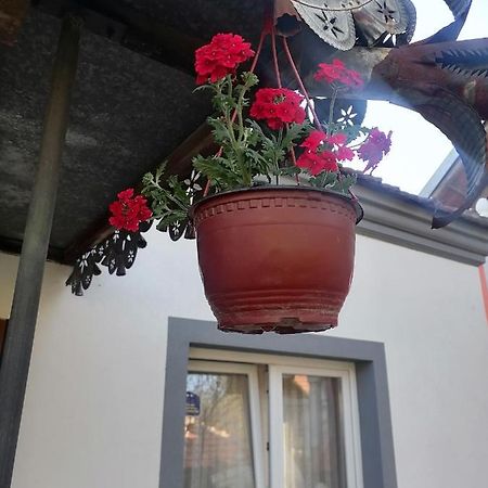 Villa Etno Kuca Badejevic Plavna Esterno foto