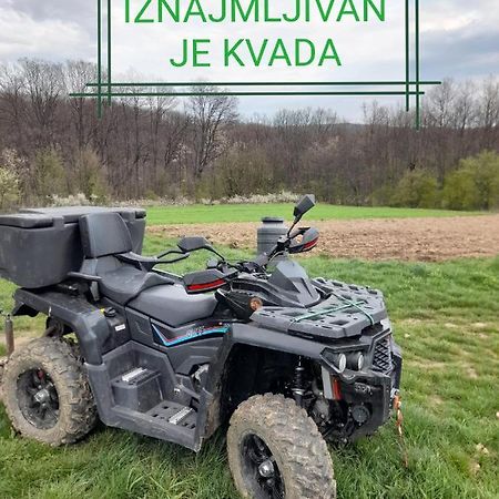 Villa Etno Kuca Badejevic Plavna Esterno foto