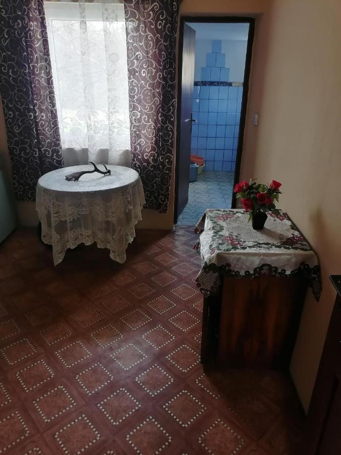 Villa Etno Kuca Badejevic Plavna Esterno foto