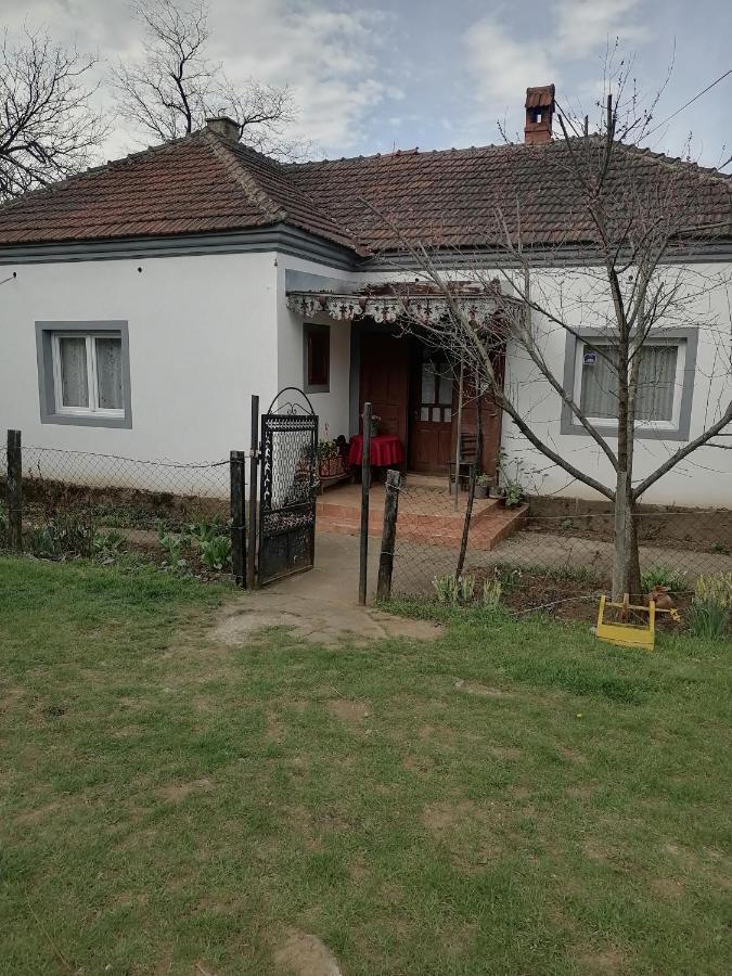 Villa Etno Kuca Badejevic Plavna Esterno foto