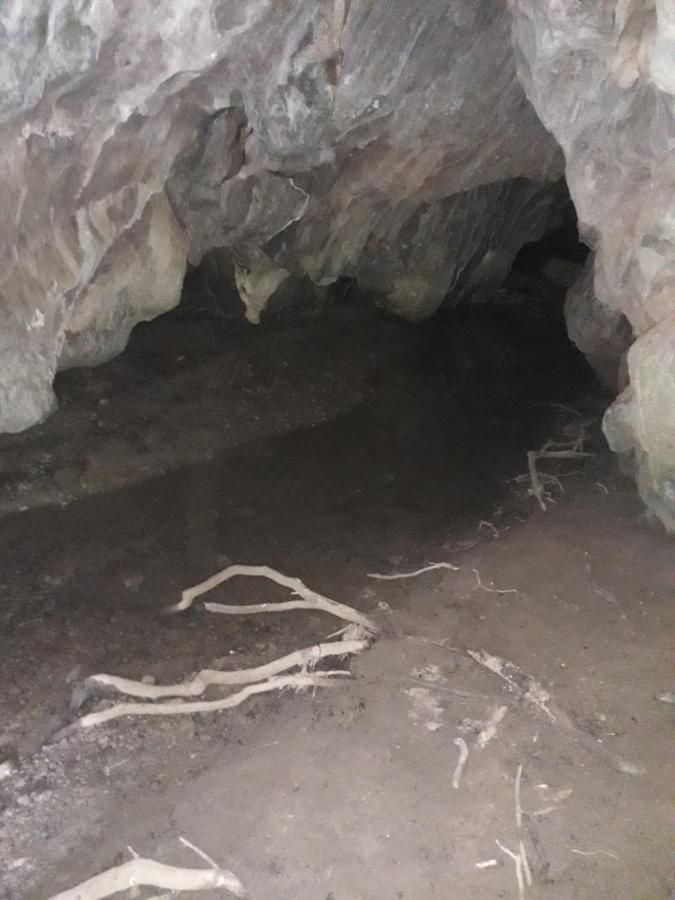 Villa Etno Kuca Badejevic Plavna Esterno foto