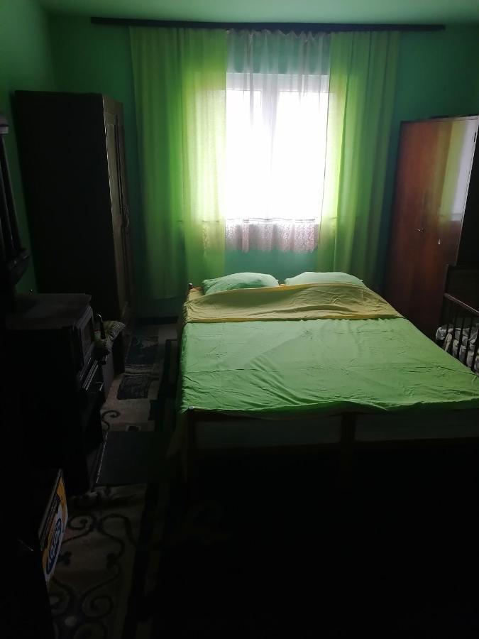 Villa Etno Kuca Badejevic Plavna Esterno foto