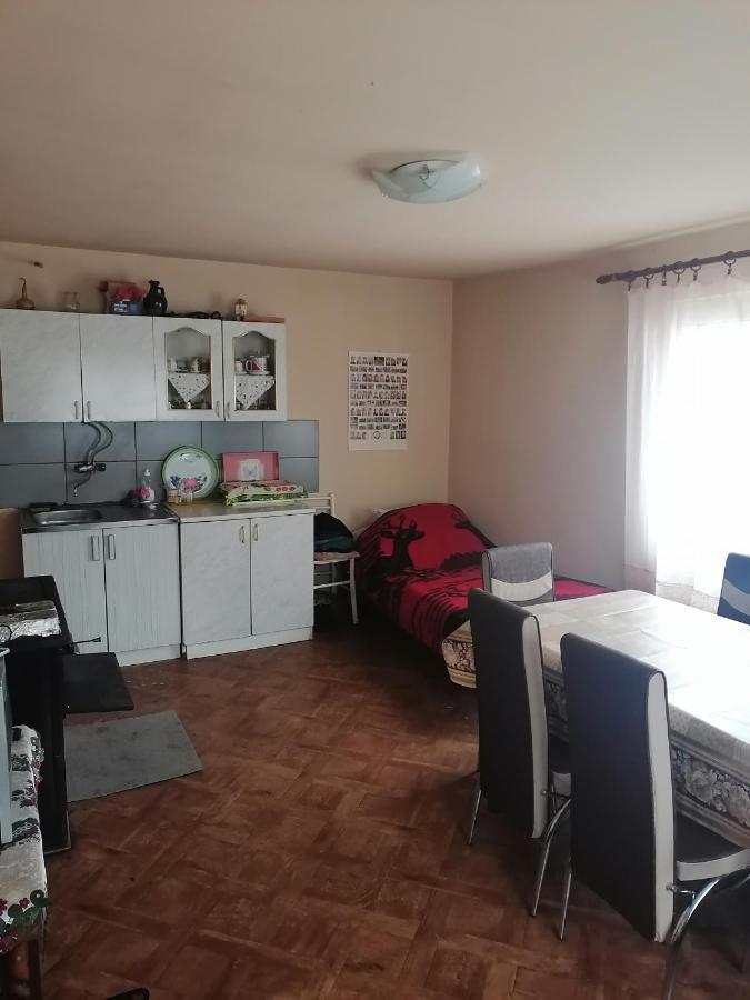 Villa Etno Kuca Badejevic Plavna Esterno foto