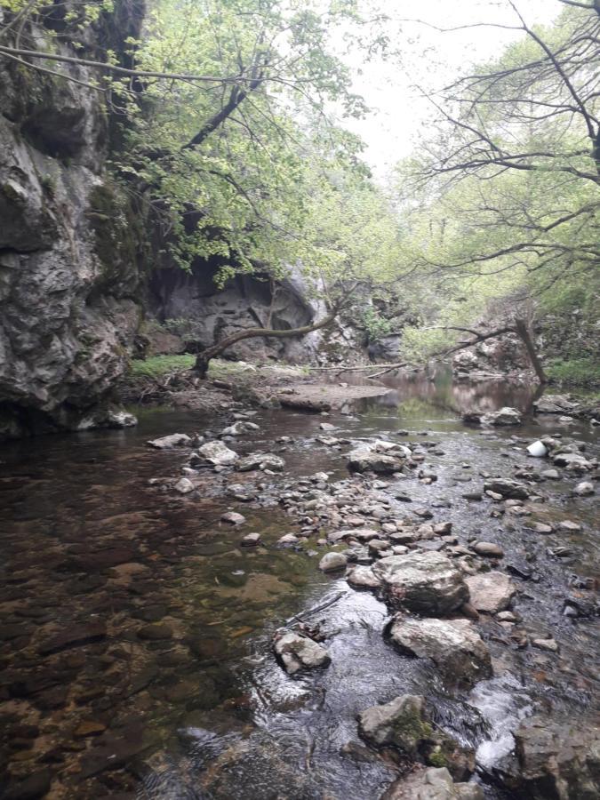 Villa Etno Kuca Badejevic Plavna Esterno foto