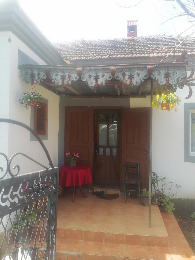 Villa Etno Kuca Badejevic Plavna Esterno foto