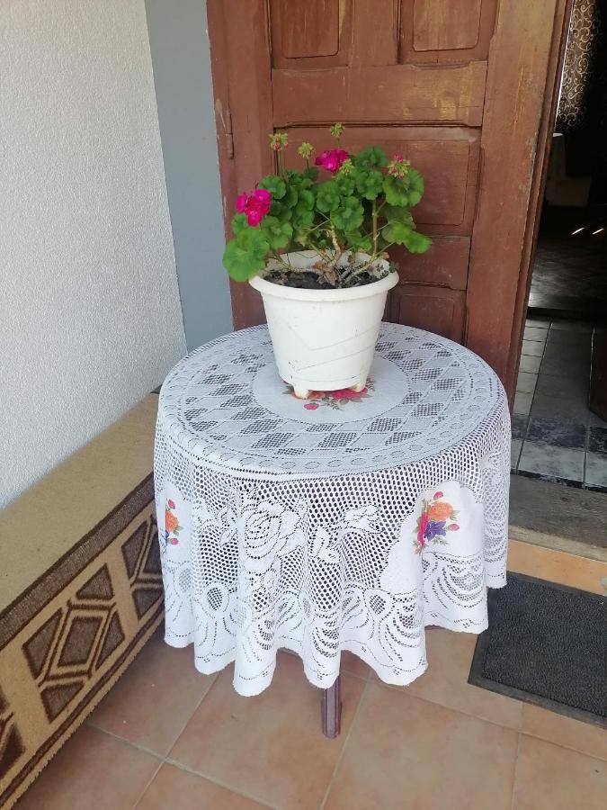 Villa Etno Kuca Badejevic Plavna Esterno foto