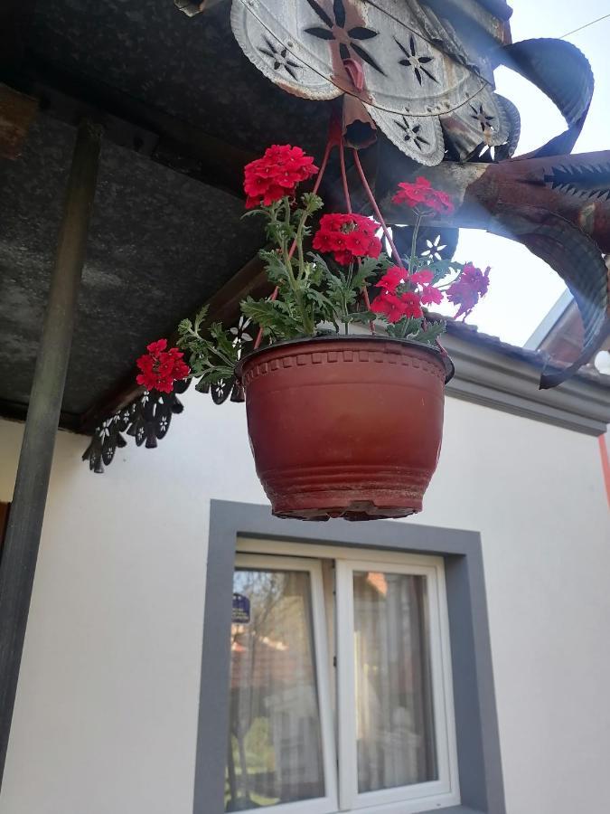 Villa Etno Kuca Badejevic Plavna Esterno foto