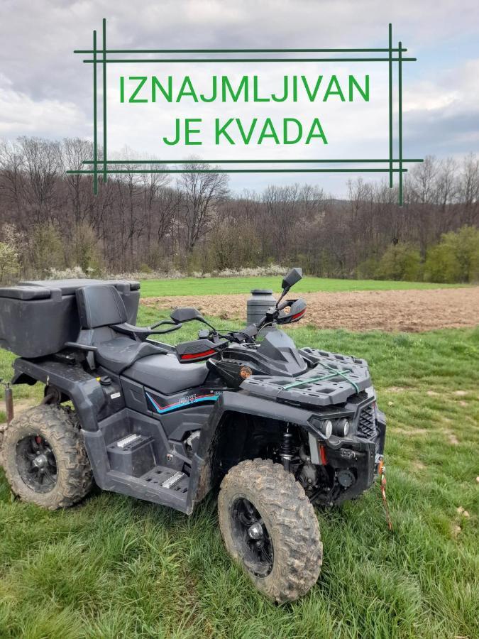 Villa Etno Kuca Badejevic Plavna Esterno foto